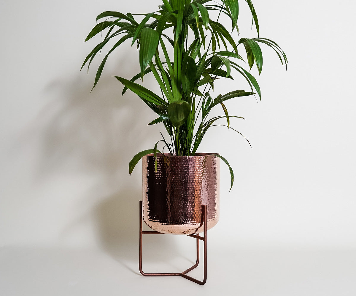 Premium Copper Mid Century Planter Stand